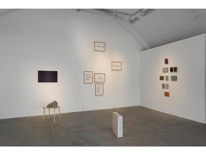 Ebba Bring, Oppland Kunstsenter 2018